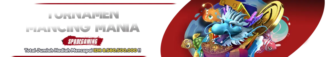 idtkungfu.com